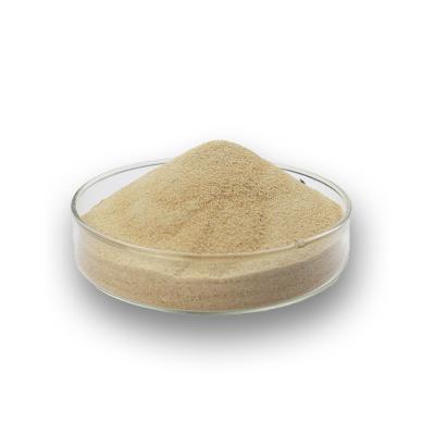 Extraction of natural soybean PS Powder Phosphatidylserine 70%
